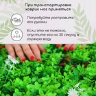 Декоративная панель, 60 × 40 см, цветы, МИКС, Greengo 9241493 - фото 14099612