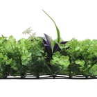 Декоративная панель, 60 × 40 см, цветы, МИКС, Greengo 9241493 - фото 14099614