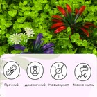 Декоративная панель, 60 × 40 см, цветы, МИКС, Greengo 9241493 - фото 14099610