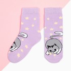 Носки для девочки KAFTAN «Кот», размер 14-16 см, цвет лиловый - фото 10091725