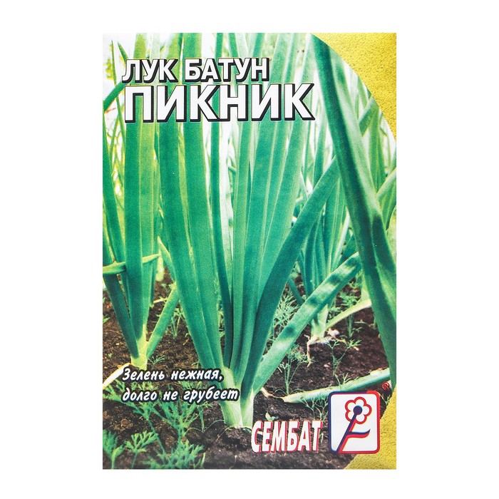 Семена Лук батун "Пикник", 1 г - Фото 1