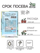 Семена Огурец "Кречет F1", 0,2 г - Фото 2