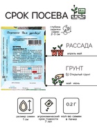 Семена Огурец "Ласточка F1", 0,2 г - Фото 2
