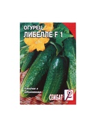 Семена Огурец "Либелле F1", 0,1 г - Фото 5