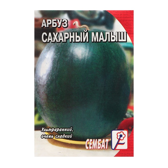 Семена Арбуз "Сахарный малыш", 1 г - Фото 1