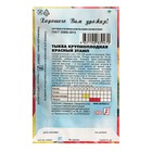 Семена Тыква "Красный этамп", 2 г - Фото 2