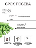 Семена Фасоль спаржевая «Рябая», 3 г, «Сембат» - Фото 2