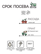 Семена Огурец «Феникс Супер 640», 100 г, «Сембат» - Фото 2
