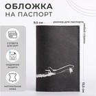 Обложка для паспорта, цвет чёрный - Фото 1