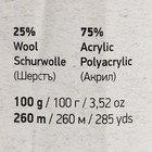 Пряжа для вязания спицами, крючком YarnArt, Crazy color, 25% шерсть, 75% акрил, 260 м/100 г, (182) - Фото 4