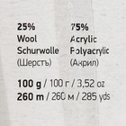 Пряжа "Crazy color" 25% шерсть, 75% акрил 260м/100гр (175 синий-терракот) - Фото 4