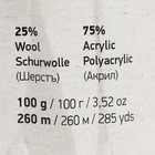 Пряжа "Crazy color" 25% шерсть, 75% акрил 260м/100гр (177 салат-беж) - Фото 4