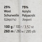 Пряжа "Crazy color" 25% шерсть, 75% акрил 260м/100гр (179 ледяной-беж) - Фото 4