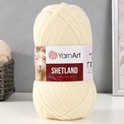 Пряжа "Shetland" 30% шерсть верджин, 70% акрил 220м/100гр (503 шампанское) 9343871 - фото 10094078