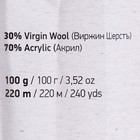 Пряжа "Shetland" 30% шерсть верджин, 70% акрил 220м/100гр (515 сталь) - фото 21894198