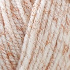 Пряжа "Shetland" 30% шерсть верджин, 70% акрил 220м/100гр (535А бел-беж) - фото 8034666