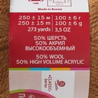 Пряжа "Подмосковная" 50% шерсть, 50% акрил 250м/100гр (165 темн.бежевый) - фото 24412214