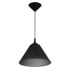 Чёрно-дымчатый