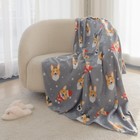 Плед Belezza Holiday corgi, цвет серый, размер 130x170см, флис 150г/м, 100% полиэстер 9347706 - фото 10355707