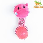Игрушка для собак 3-в-1 "Бегемот": канатная, мягкая с пищалкой, мяч TPR, 20 см, розовая - фото 319146350