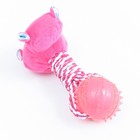 Игрушка для собак 3-в-1 "Бегемот": канатная, мягкая с пищалкой, мяч TPR, 20 см, розовая - фото 6743696
