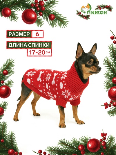 Свитер "Косточки-снежинки", размер 6 (ДС 17-20, ОГ 22-28, ОШ 14-16 см), красный
