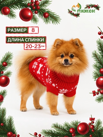 Свитер «Косточки-снежинки», размер 8 (ДС 20-23, ОГ 25-32, ОШ 16-19 см), красный