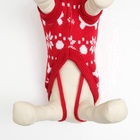 Свитер «Косточки-снежинки», размер 8 (ДС 20-23, ОГ 25-32, ОШ 16-19 см), красный - Фото 6