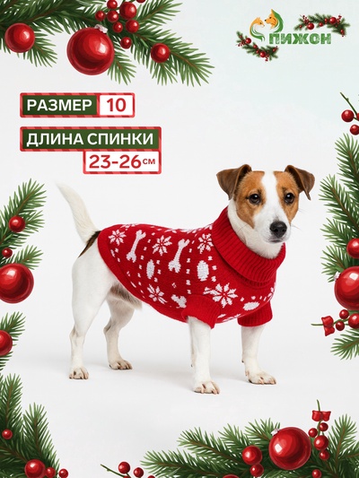 Свитер «Косточки-снежинки», размер 10 (ДС 23-26, ОГ 28-35, ОШ 18-22 см), красный