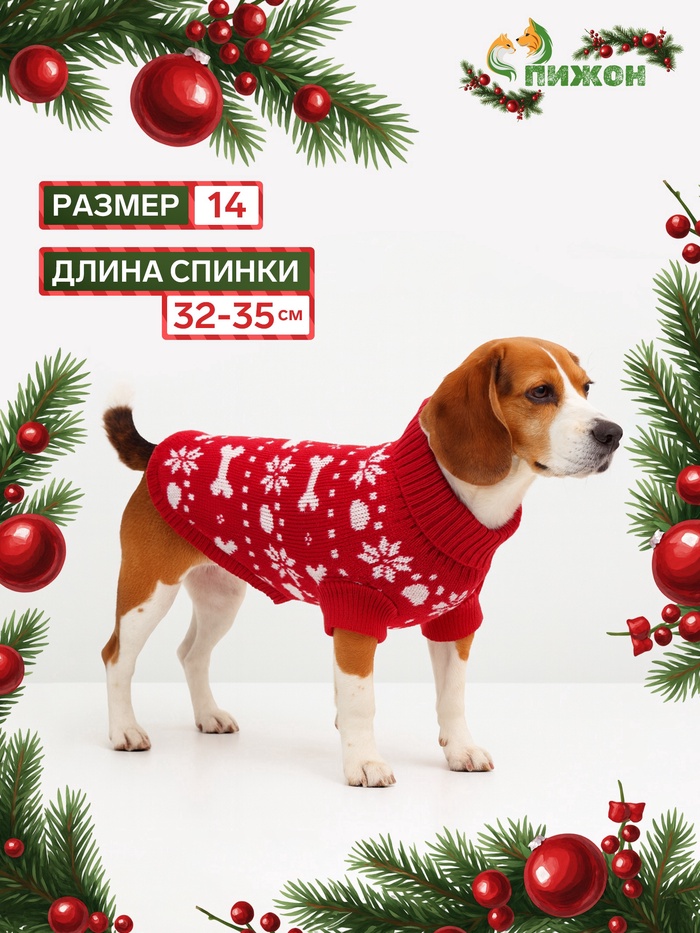 Свитер «Косточки-снежинки», размер 14 (ДС 32-35, ОГ 35-45, ОШ 22-26 см), красный - Фото 1