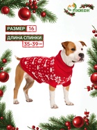 Свитер «Косточки-снежинки», размер 16 (ДС 35-39, ОГ 38-50, ОШ 24-28 см), красный - Фото 1