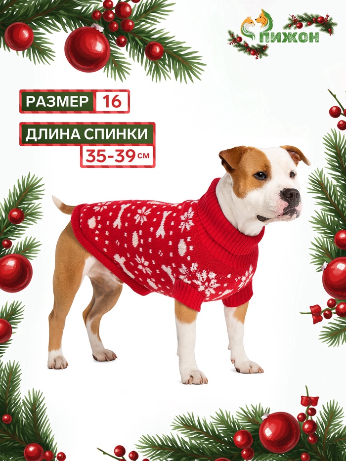 Свитер «Косточки-снежинки», размер 16 (ДС 35-39, ОГ 38-50, ОШ 24-28 см), красный - Фото 1
