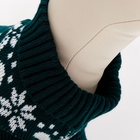 Свитер "Косточки-снежинки", размер 6 (ДС 17-20, ОГ 22-28, ОШ 14-16 см), зелёный - Фото 4