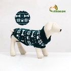 Свитер «Косточки-снежинки», размер 8 (ДС 20-23, ОГ 25-32, ОШ 16-19 см), зелёный - Фото 2