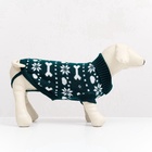 Свитер «Косточки-снежинки», размер 14 (ДС 32-35, ОГ 35-45, ОШ 22-26 см), зелёный - Фото 3