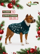 Свитер «Косточки-снежинки», размер 16 (ДС 35-39, ОГ 38-50, ОШ 24-28 см), зелёный - Фото 1