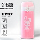 Термос «Верь в чудеса», 250 мл, время сохранения тепла 6-8 ч - Фото 1