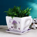 Декоративный горшок для цветов «Прованс», 800 мл, 17×13×11 см, керамика, с поддоном, белый, сиреневый, Greengo - Фото 2