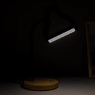 Настольная лампа Лайт LED 4Вт USB 3000-6000K черный 14,5х23х38,5 см RISALUX 7830941