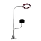 Настольная лампа Октопус LED USB розовый 11х63 см RISALUX 7842106 - фото 14394683