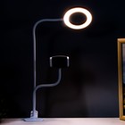 Настольная лампа Октопус LED USB розовый 11х63 см RISALUX 7842106 - фото 14394675