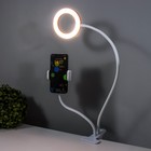 Настольная лампа Октопус LED USB розовый 11х63 см RISALUX 7842106 - фото 14394677