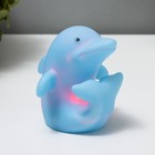 Ночник "Дельфиненок" LED RGB голубой 7х7 см - фото 10097029