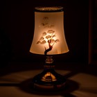 Аромасветильник сенсорный "Бонсай" G5 40Вт золото 13х13х23 см RISALUX - Фото 5