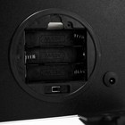 Световая картина-ночник "Страус" LED от батареек 3хАА USB 15,5x4,5x15,5 см RISALUX - Фото 6