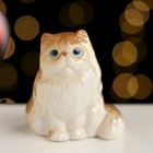 Сувенир "Сидящий персидский кот", 5,5х5х4,5 см ,фарфор цвет МИКС - фото 320151534