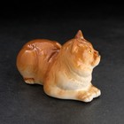 Сувенир "Британский кот" 7х6х13 см ,фарфор цвет МИКС - фото 24383925