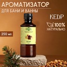 Ароматизатор для бани и ванны «Кедр», натуральная, 250 мл., "Добропаровъ" - фото 321709306