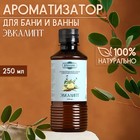 Ароматизатор для бани и ванны «Эвкалипт», натуральная, 250 мл., "Добропаровъ" - фото 321709324
