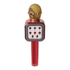 Микрофон для караоке Belsis MA3002BK, 3 Вт, 1200 мАч, Bluetooth, FM, microSD, красный - фото 51458080 Микрофон для караоке Belsis MA3002BK, 3 Вт, 1200 мАч, Bluetooth, FM, microSD, красный - фото 51458080